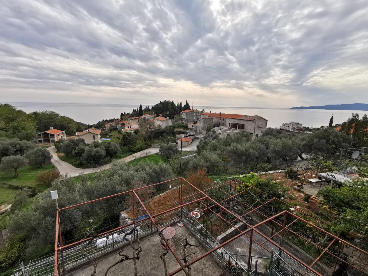 Apartments Djedovic 2 Petrovac 外观 照片