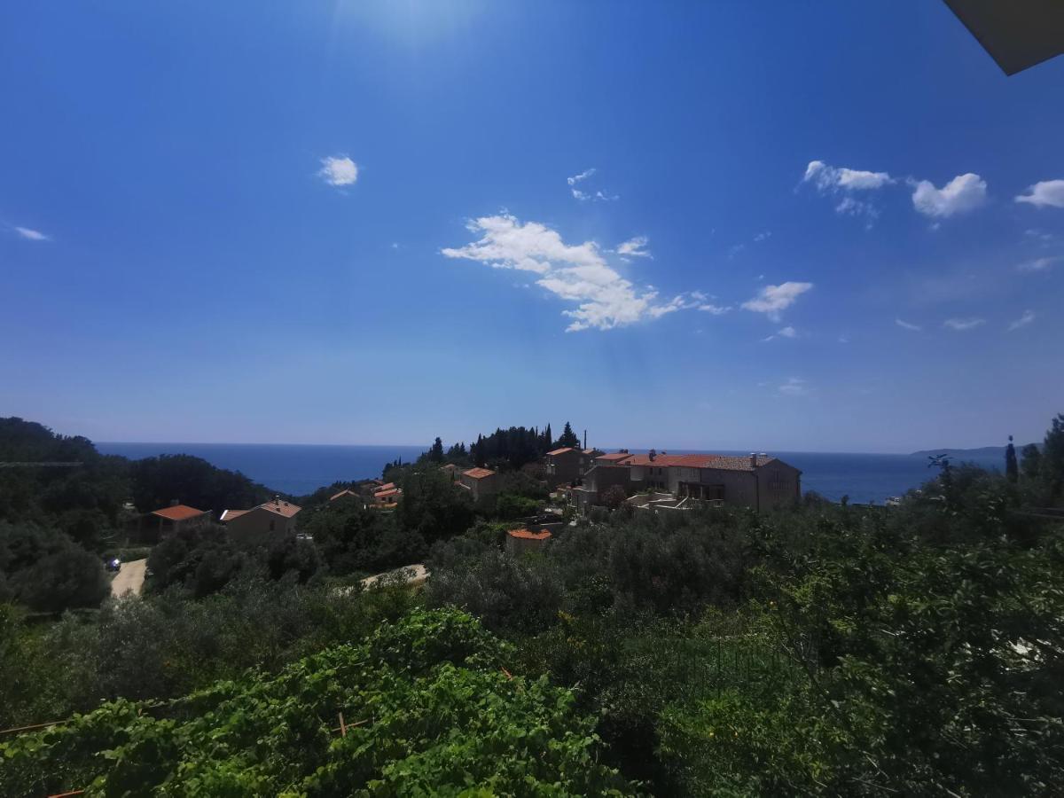 Apartments Djedovic 2 Petrovac 外观 照片