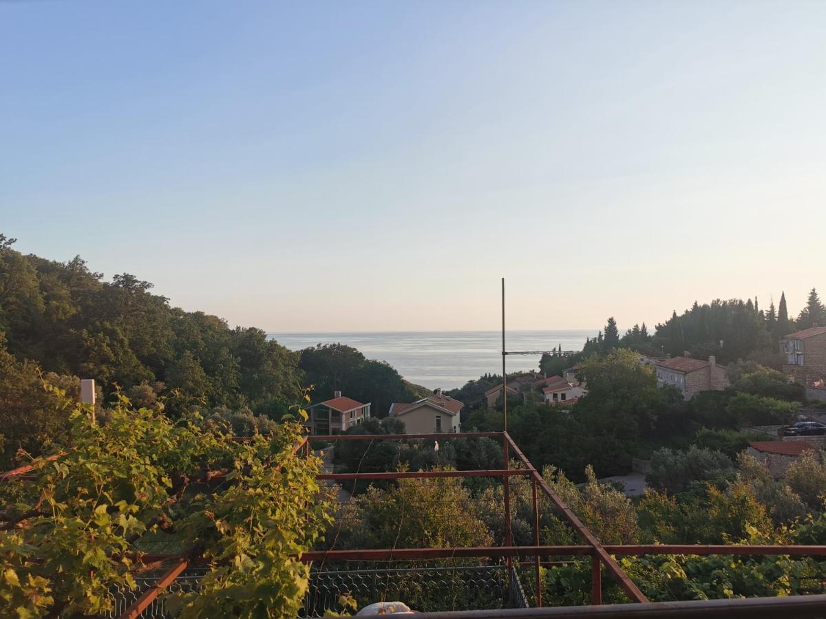 Apartments Djedovic 2 Petrovac 外观 照片