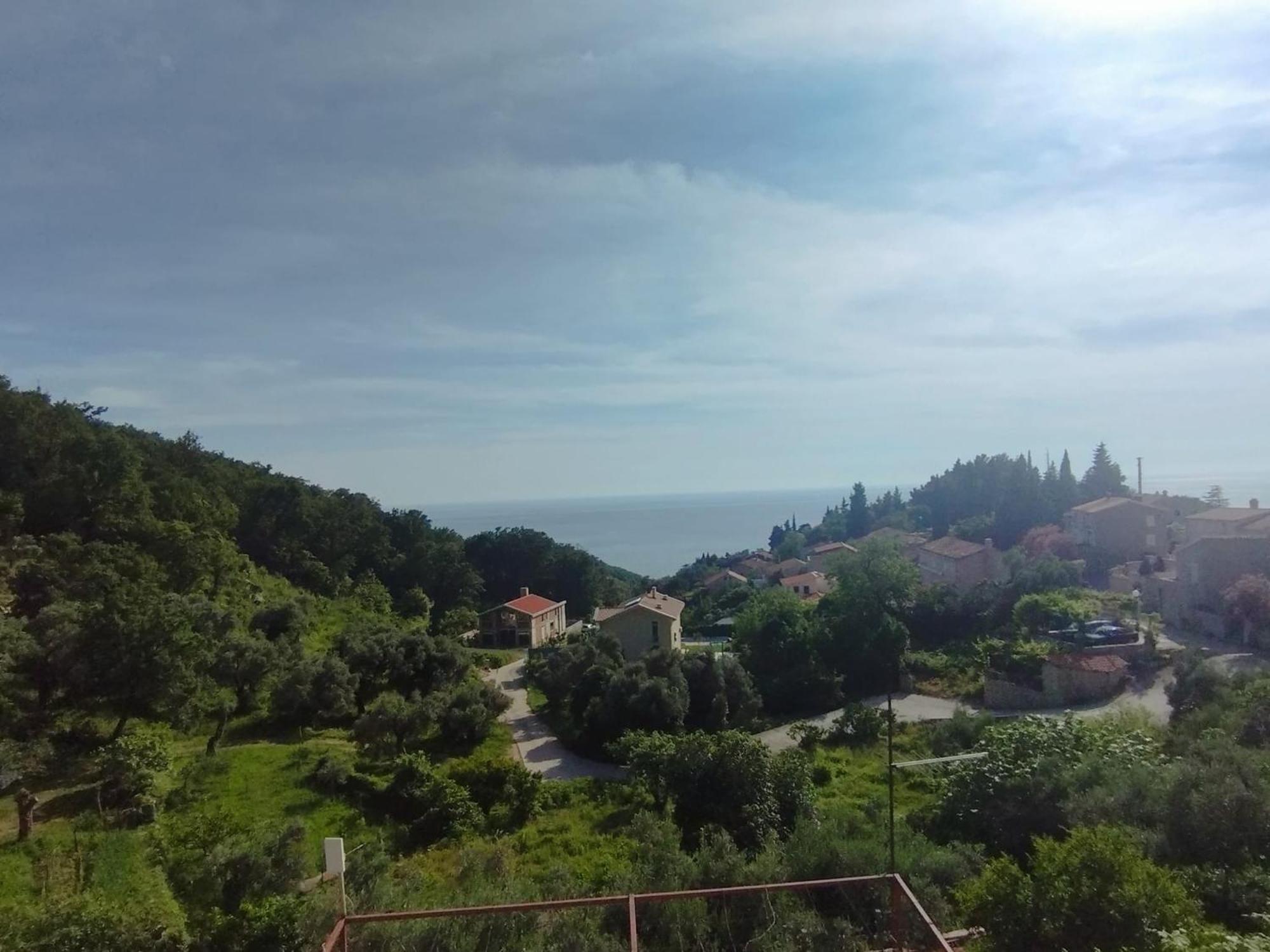 Apartments Djedovic 2 Petrovac 外观 照片