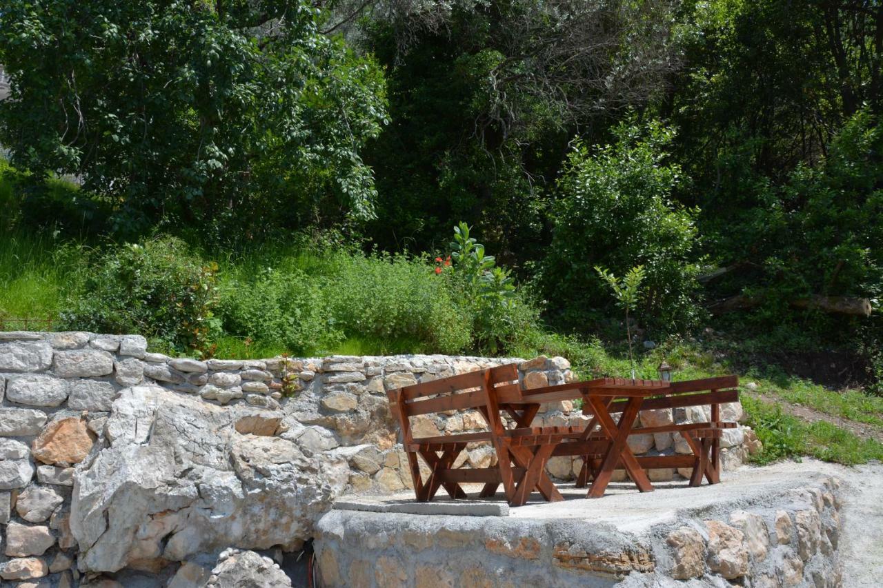 Apartments Djedovic 2 Petrovac 外观 照片