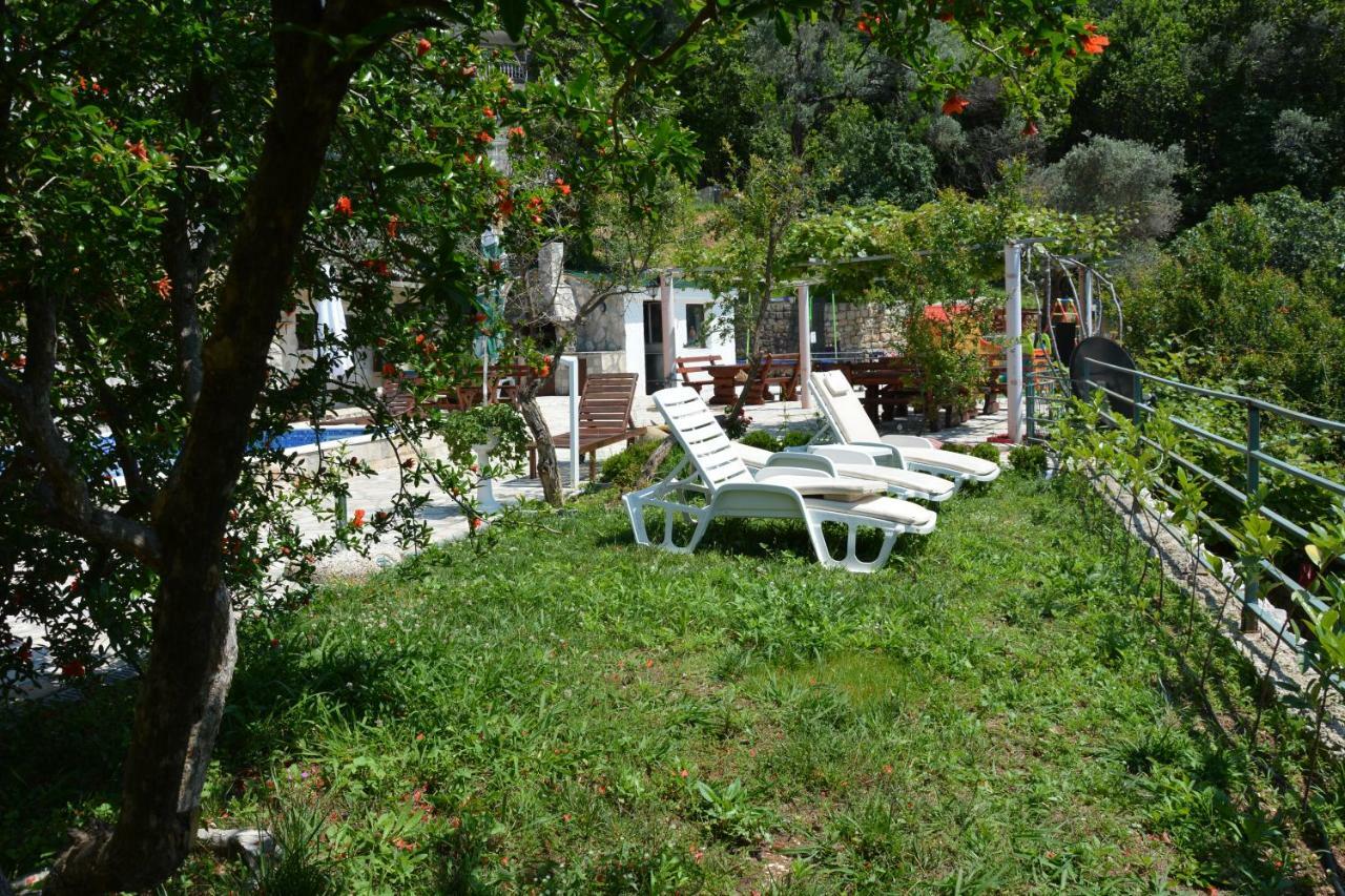 Apartments Djedovic 2 Petrovac 外观 照片