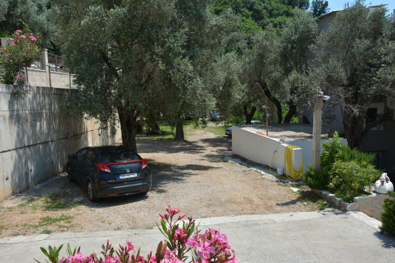 Apartments Djedovic 2 Petrovac 外观 照片